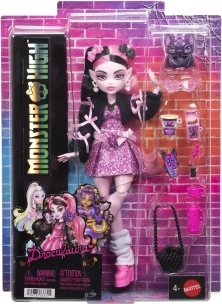 Monster High Draculaura doll with accessories and pet