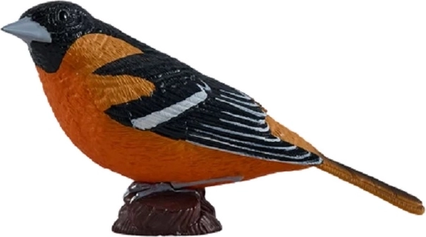 MOJO Eurasian Golden Oriole