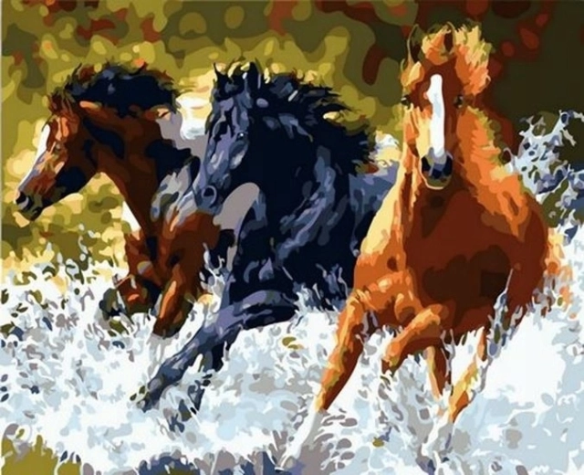 Norimpex Paint by Numbers Three Galloping Horses 40 × 50 cm