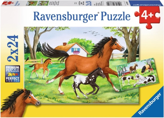 RAVENSBURGER World of Horses puzzle 2×24 pieces