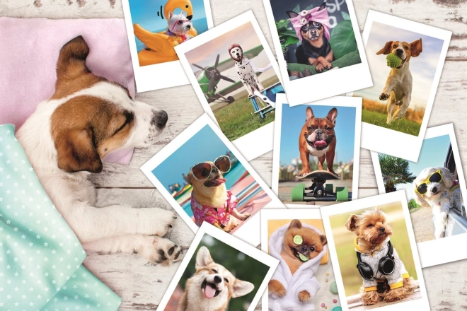 Puzzle 300 Pieces - Vacation Photos