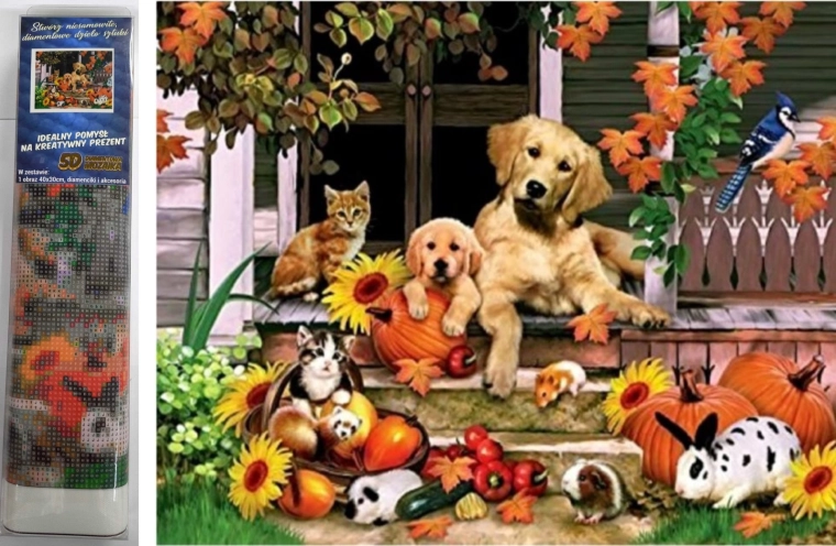 Norimpex Diamond Painting – Autumn Fun 30 × 40 cm