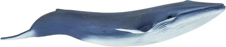 Safari Ltd. blue whale figurine