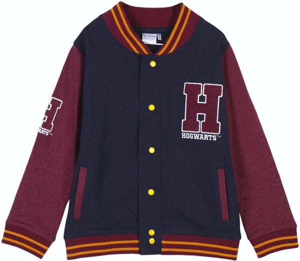 Суитшърт Harry Potter