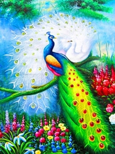 Диамантено рисуване – пауни 30 × 40 см