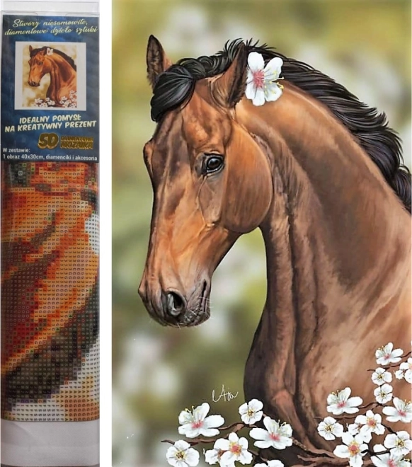 Norimpex диамантено рисуване Кон с цветя 30x40 см