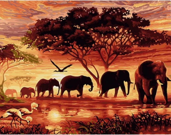 Norimpex Paint by Numbers Herd of Elephants at Sunset 40 × 50 cm