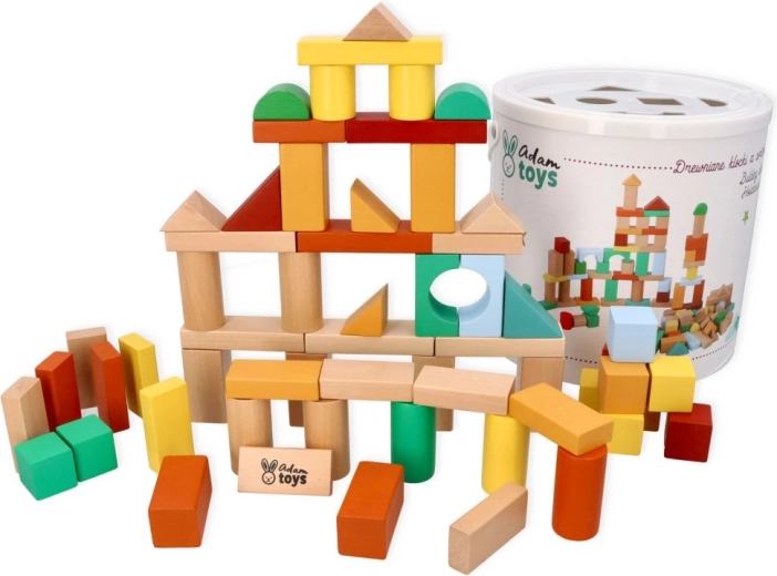 Wooden blocks with shape sorter, 100 pieces