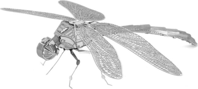 3D Metal Model Dragonfly