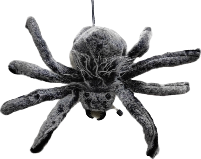 Furry Spider as a Party Decoration