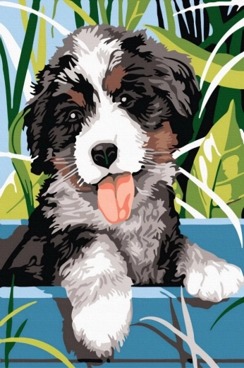 Norimpex Paint by Numbers Smiling Dog 40 × 50 cm