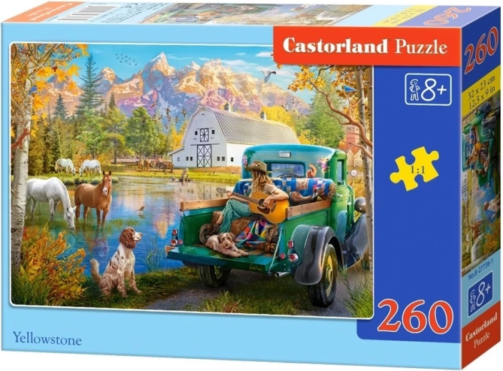 Castorland Yellowstone puzzle (260 pieces)