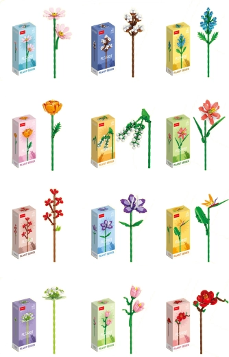 Florist colorful summer and wildflowers (12 types)