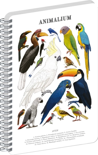 Notique спирален бележник Animalium Птици, чист A5