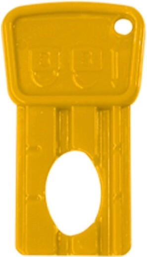 Ignition key for Ride-on Power Drag electric children's vehicle - 1 piece