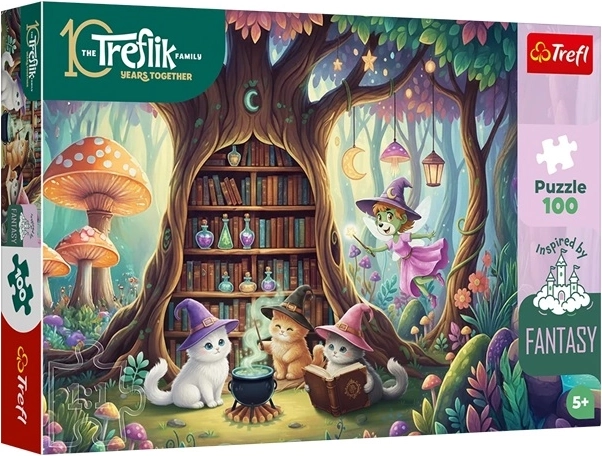 100-Piece Puzzle Inspired By Fantasy – Magical Kittens