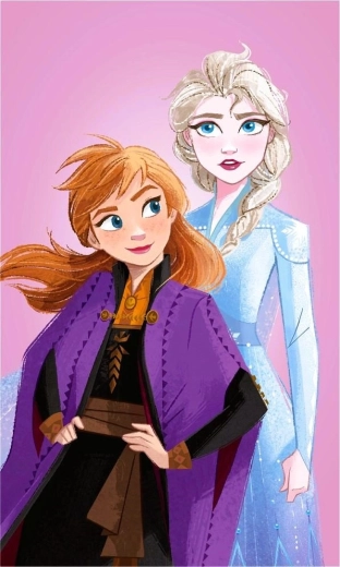 Frozen Towel