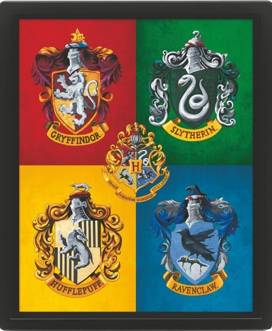 3D Picture Harry Potter Color
