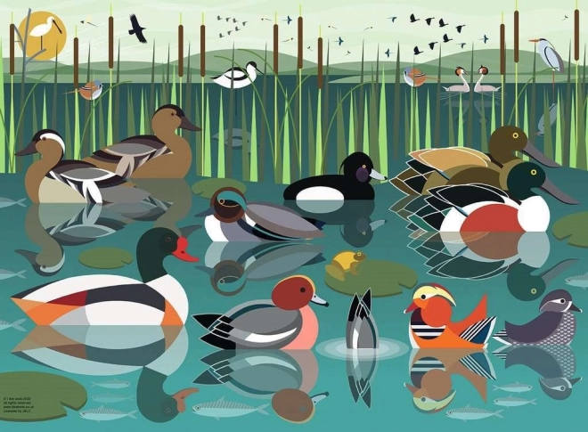 Ravensburger пъзел Обичам водните птици 500 елемента