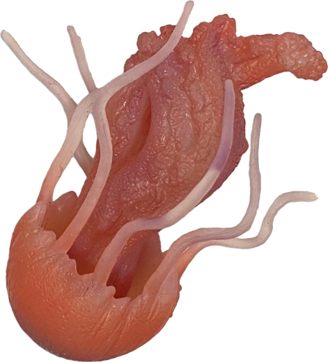 Гумена медуза 10 см – играчка за вана и басейн