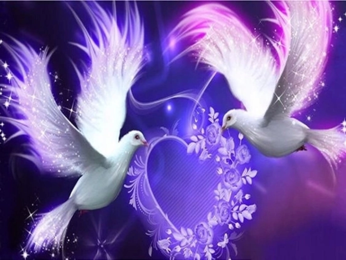 Norimpex Paint by Numbers Pigeons and Purple Hearts 40 × 50 cm