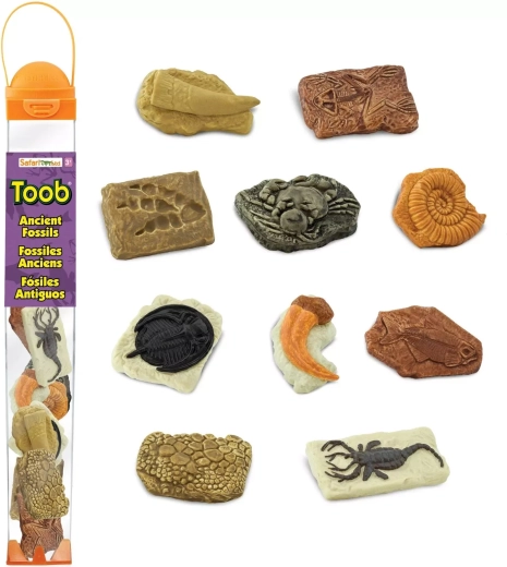 Safari Ltd. Toobs Fossils Tube