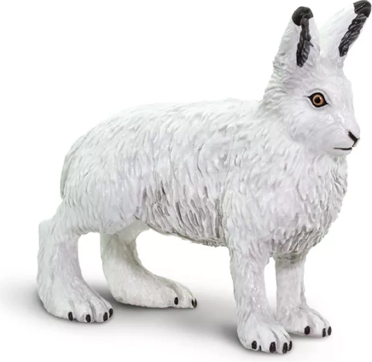 Arctic Hare Safari Ltd. - 1 piece