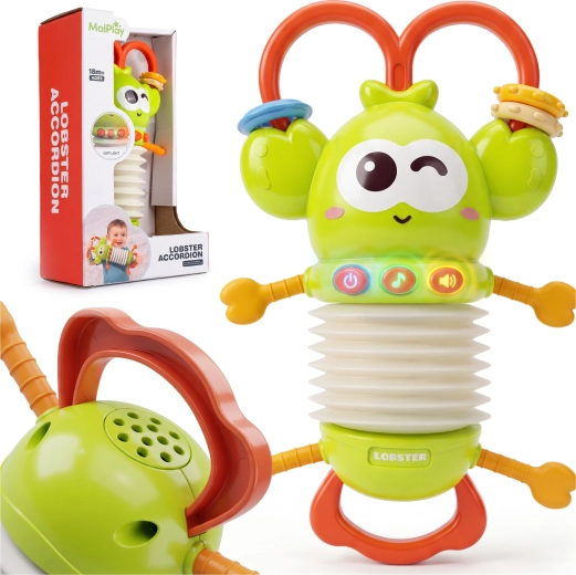 Musical Accordion for Toddlers