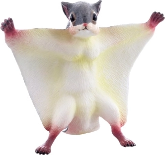 Flying Squirrel