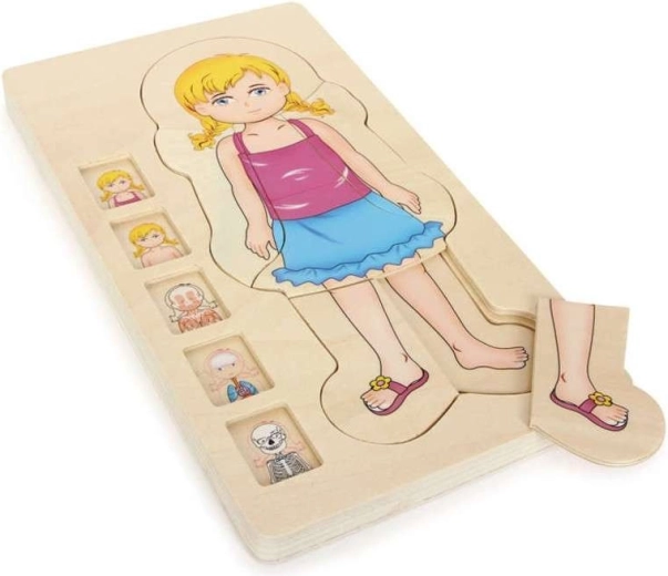 Small foot wooden layered anatomy puzzle