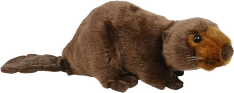Plush beaver 26 cm