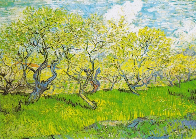 Puzzle Vincent van Gogh: Flowering Garden 1000 pieces