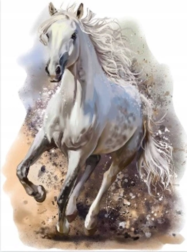 Norimpex diamond painting rearing white horse 30 × 40 cm