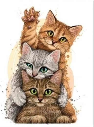 Диамантено рисуване „Котешка пирамида“ 30 × 40 см