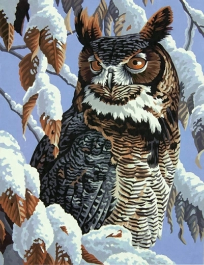 Norimpex Paint by Numbers Owl on a Snowy Branch 40 × 50 cm
