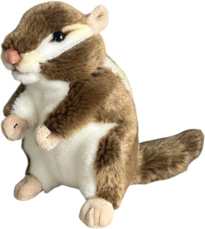 Plush American squirrel 18 cm