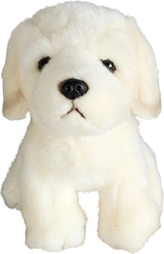Plush Golden Retriever Dog 19 cm