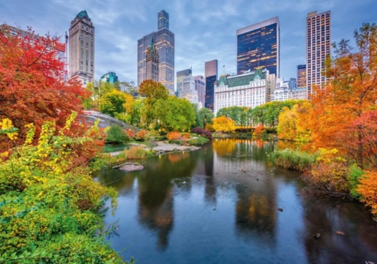 Пъзел Central Park 500 части
