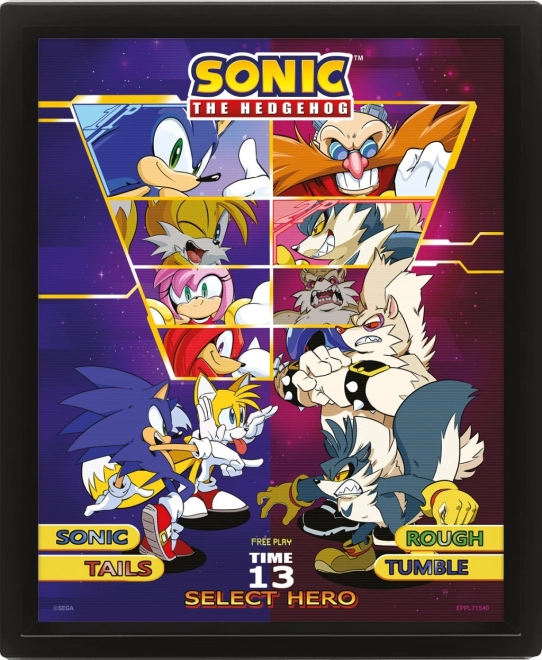 3D картина Sonic: Избери си боеца