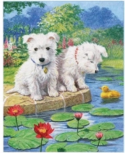 Norimpex Paint by Numbers Maltese Dogs by the Lake 40 × 50 cm