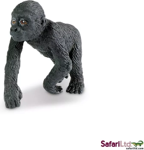 Lowland gorilla baby