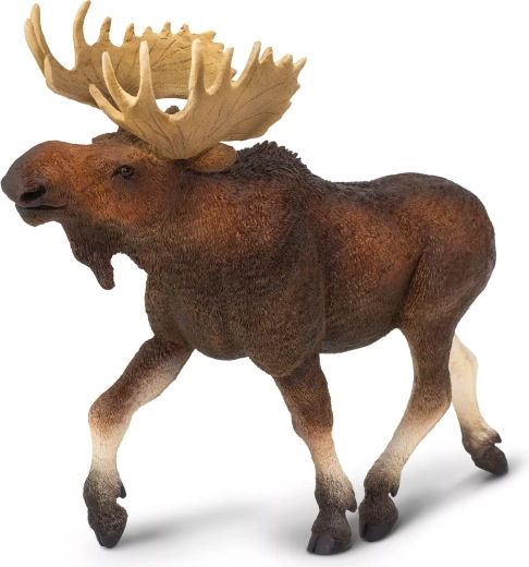 Safari Ltd. European moose - 1 piece
