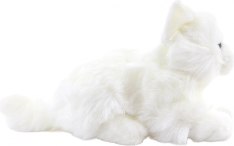 Компактна и пътническа