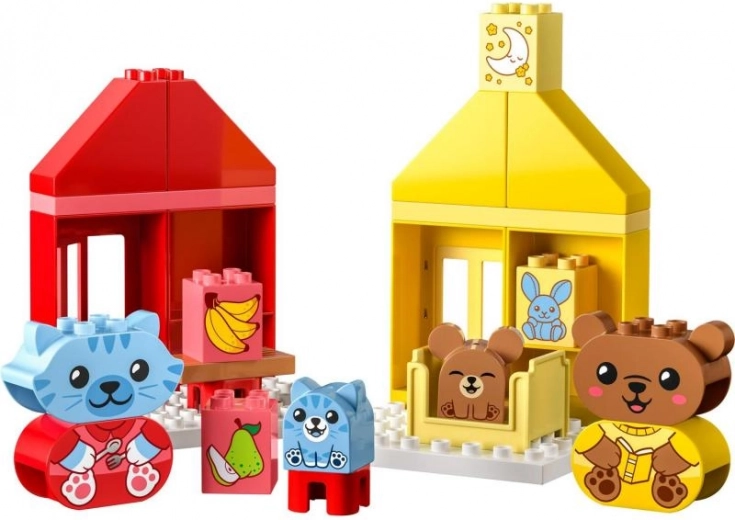 Хранене и време за сън като забавна рутина
