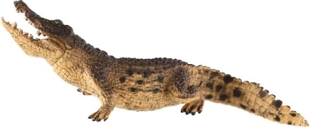 Страхотна за обучение и колекциониране