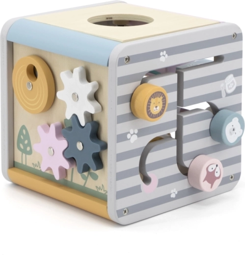 5 образователни активности в едно