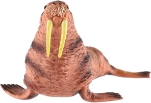 Идеална за колекции и образователни цели