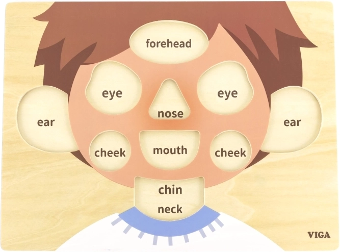 Учене на частите на лицето чрез игра
