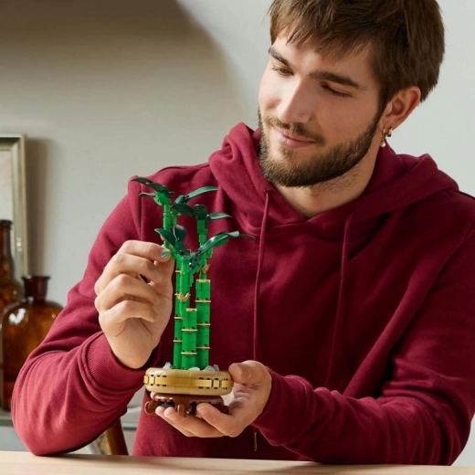 Успокояващо строене за възрастни