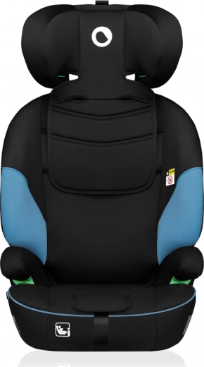 Adjustable Headrest